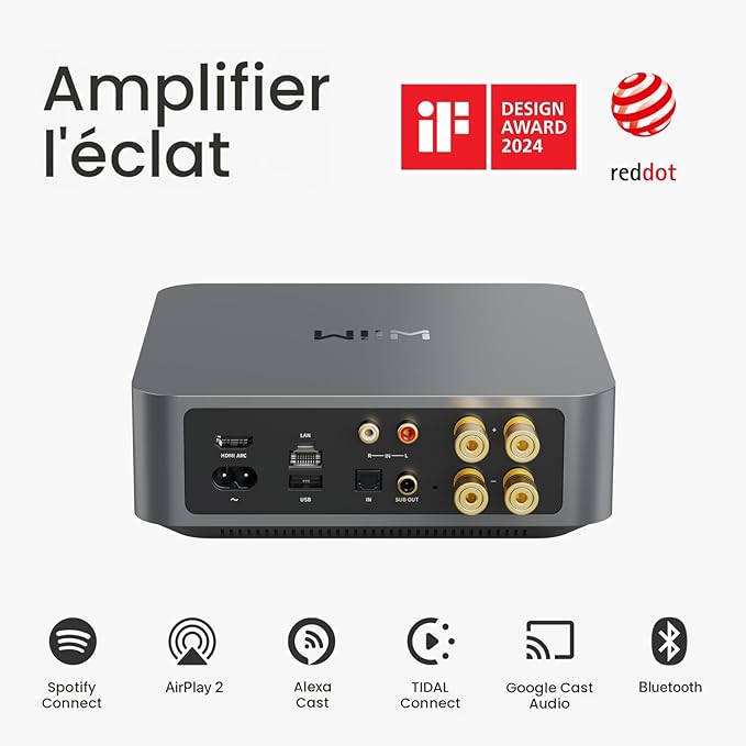 Amplificateur Wiim Amp